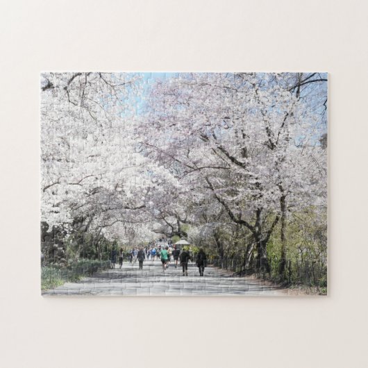 Central Park Spring Cheroms New York NYC Puzzle (Horizontal)