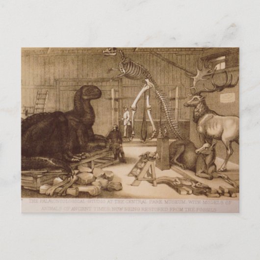 Central Park Studio Benjamin Waterhouse Hawkins Postkarte (Vorderseite)