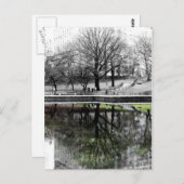 Central Park Tree Postkarte (Vorne/Hinten)