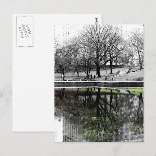 Central Park Tree Postkarte (Vorne/Hinten)