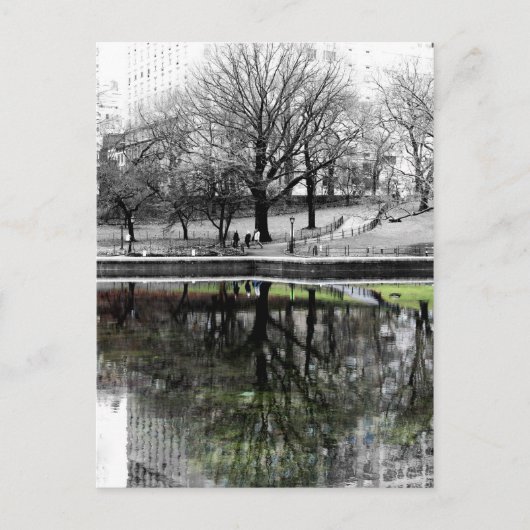 Central Park Tree Postkarte (Vorderseite)
