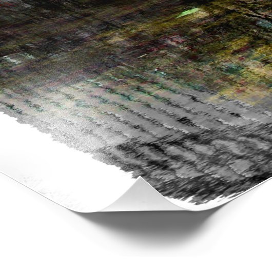 Central Park Tree Reflection Foto (Ecke)