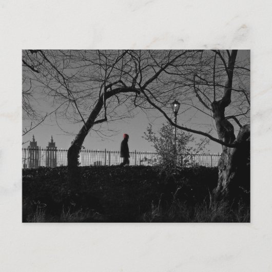 Central Park Walker Postcard Postkarte (Vorderseite)