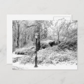 Central Park Winter Snow Landschaft Foto Postkarte (Vorne/Hinten)