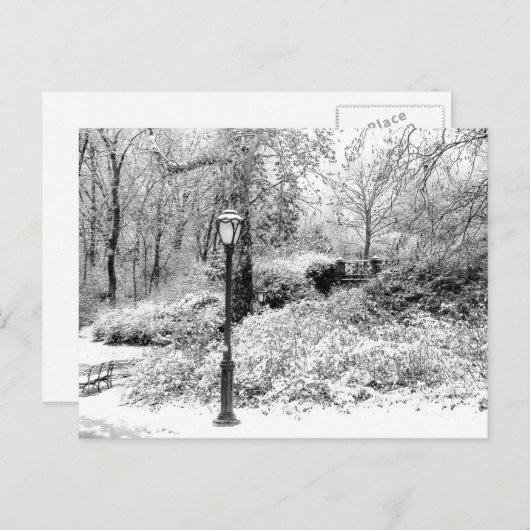Central Park Winter Snow Landschaft Foto Postkarte (Vorne/Hinten)