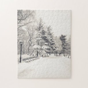 Central Park-Winter-Weg - New York City Puzzle