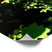 Central Park Zoo Poster (Ecke)