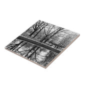 Central- ParkFoto, NYC Fliese (Seite)