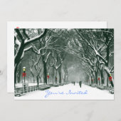 Central Parksnowy-Weg eingeladen Einladung (Vorne/Hinten)