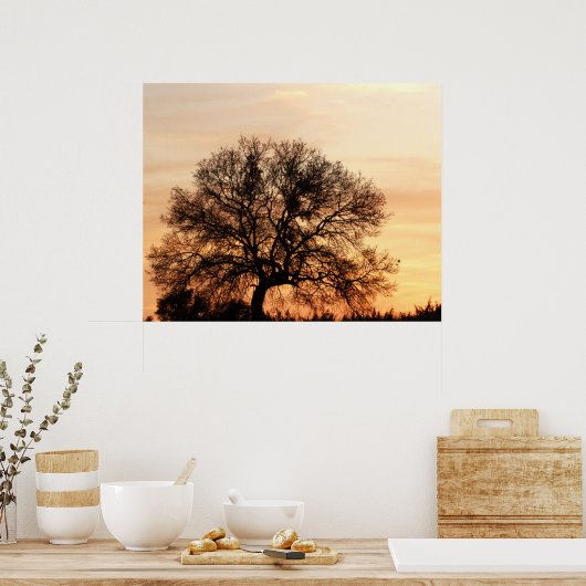 Central Texas Sunset Poster (Küche)