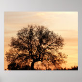 Central Texas Sunset Poster (Vorne)