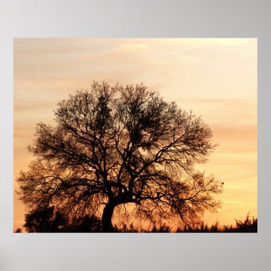 Central Texas Sunset Poster (Vorne)