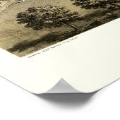 Centralia, IL Panorama Karte - 1867 Poster (Ecke)