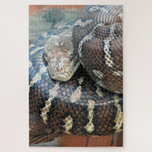 Centralian Teppichpythonschlange Puzzle
