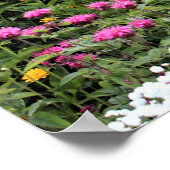 Centre Early Summer Gardens Pathway Poster (Ecke)