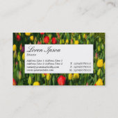 Centre Label - Farbenfrohe Tulissen Visitenkarte (Rückseite)