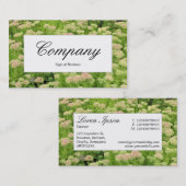 Centre Label - Sedum (Herbstfreude) Visitenkarte (Vorne/Hinten)