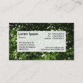 Centre Label v3 - Wilder Knoblauch Visitenkarte (Rückseite)