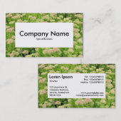 Centre Label v4 - Sedum (Herbstfreude) Visitenkarte (Vorne/Hinten)