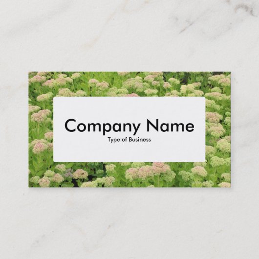 Centre Label v4 - Sedum (Herbstfreude) Visitenkarte (Vorderseite)