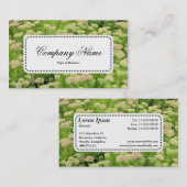 Centre Label v5 - Sedum (Herbstfreude) Visitenkarte (Vorne/Hinten)