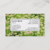 Centre Label v5 - Sedum (Herbstfreude) Visitenkarte (Rückseite)