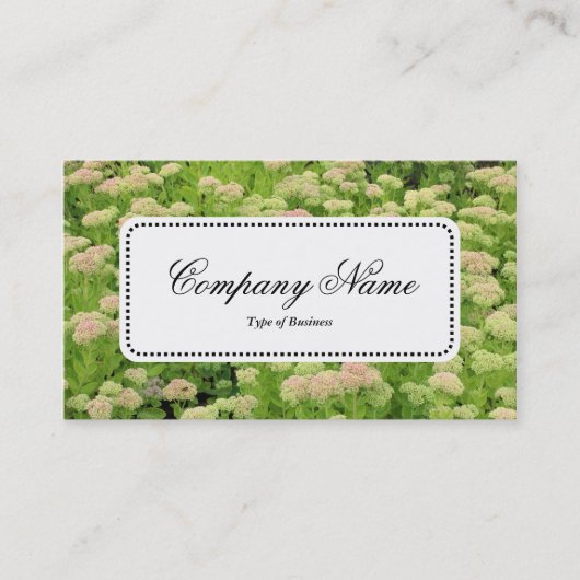 Centre Label v5 - Sedum (Herbstfreude) Visitenkarte (Vorderseite)