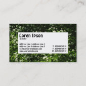 Centre Label - Wilder Knoblauch Visitenkarte (Rückseite)