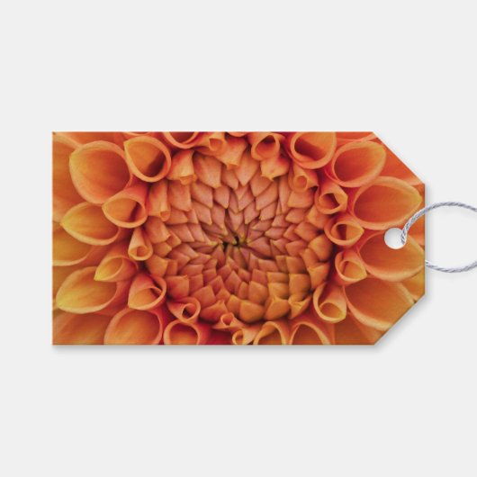 Centre Orange Dahlia Blume Geschenkanhänger (Vorderseite (Horizontal))