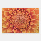 Centre Orange Dahlia Blume Geschenkpapier Set (Vorderseite 3)