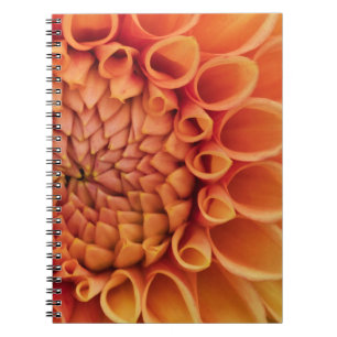 Centre Orange Dahlia Blume Notizblock