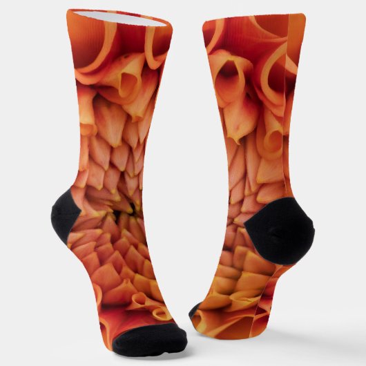 Centre Orange Dahlia Blume Socken (Gewinkelt)