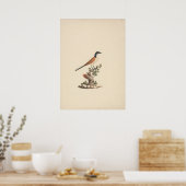 Centropus monachus (Blaukopfkuckuck) Poster (Küche)