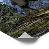 Centrosaurus-Dinosaurier, die unter einem Magnolie Poster (Ecke)