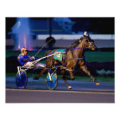 CENTURY ENDEAVOR FOTODRUCK (Vorne)