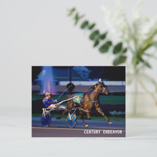 CENTURY ENDEAVOR POSTKARTE (Stehend Vorderseite)
