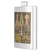 Cephalopod Octopus Tintenfisch Meeresnatur Flachmann (Links)