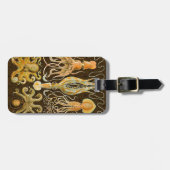 Cephalopod Octopus Tintenfisch Meeresnatur Gepäckanhänger (Vorderseite horizontal)