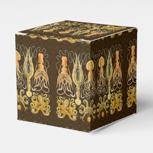 Cephalopod Octopus Tintenfisch Meeresnatur Geschenkschachtel (Vorderseite)