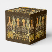 Cephalopod Octopus Tintenfisch Meeresnatur Geschenkschachtel (Rückseite)