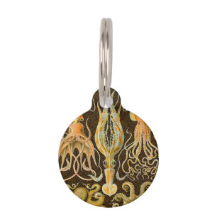 Cephalopod Octopus Tintenfisch Meeresnatur Haustiermarke