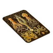 Cephalopod Octopus Tintenfisch Meeresnatur Magnet (Rechte Seite)