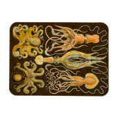 Cephalopod Octopus Tintenfisch Meeresnatur Magnet (Horizontal)