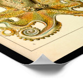 Cephalopod Octopus Tintenfisch Meeresnatur Poster (Ecke)