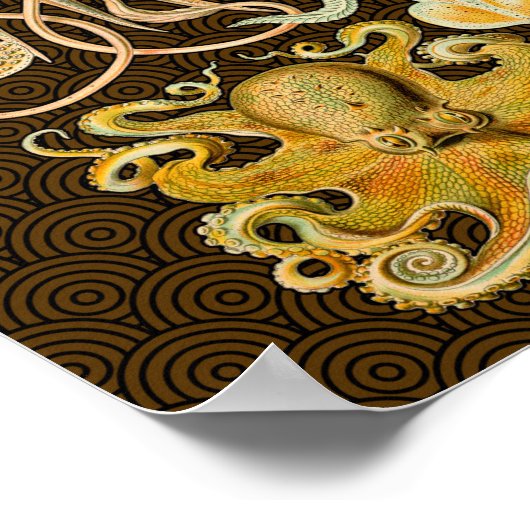 Cephalopod Octopus Tintenfisch Meeresnatur Poster (Ecke)