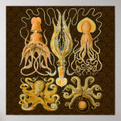 Cephalopod Octopus Tintenfisch Meeresnatur Poster (Vorne)