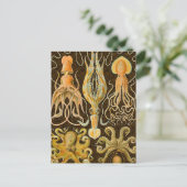 Cephalopod Octopus Tintenfisch Meeresnatur Postkarte (Stehend Vorderseite)