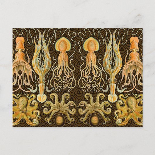 Cephalopod Octopus Tintenfisch Meeresnatur Postkarte (Vorderseite)