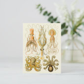 Cephalopod Octopus Tintenfisch Meeresnatur Postkarte (Stehend Vorderseite)