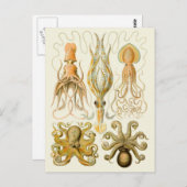 Cephalopod Octopus Tintenfisch Meeresnatur Postkarte (Vorne/Hinten)